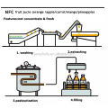 NFC Citrus Juice Fruit Production Processing Linie